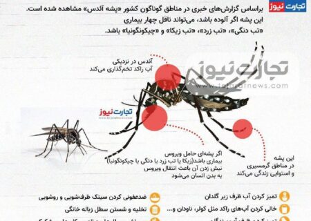 اینفوگرافی/ تب دنگی چگونه منتقل میشود؟