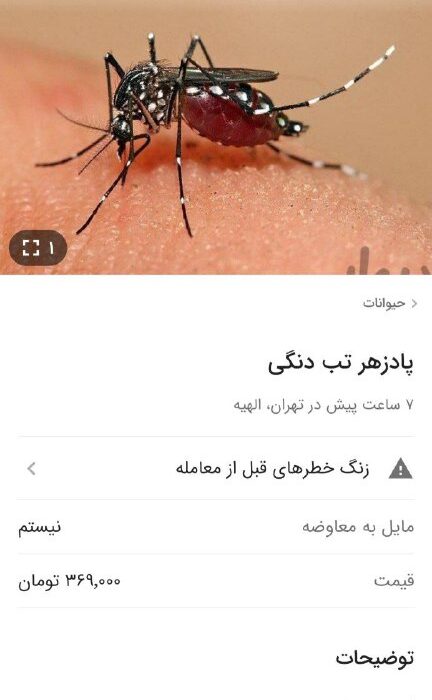 آگهی عجیب درمان تب دنگی در نرم افزار دیوار/ مردم گول این شیادان را نخورید…