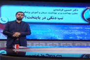 هشدار معاون وزیر بهداشت: باران ببارد تخم‌های پشه آئدس کار دست‌مان می‌دهد