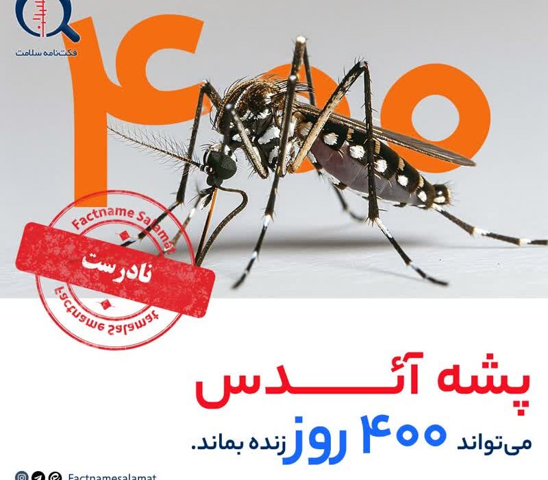 پشه آئدس می تواند 400 روز زنده بماند