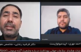آبله میمونی که جهان را ترسانده، چگونه منتقل میشود؟