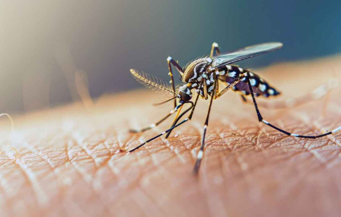 ۱۷۸ مبتلای تب دنگی تا هفته اول شهریور
